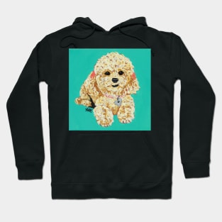 Stella the Mini Poodle Hoodie